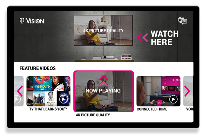 Comps of the T-Vision tablet controls.